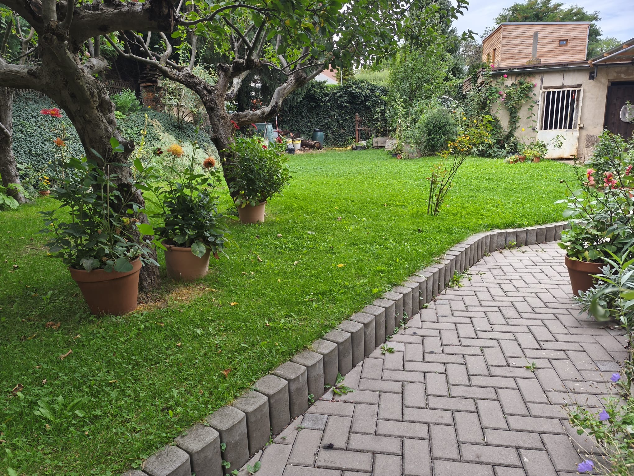 Studiový apartmán – fotografie 5